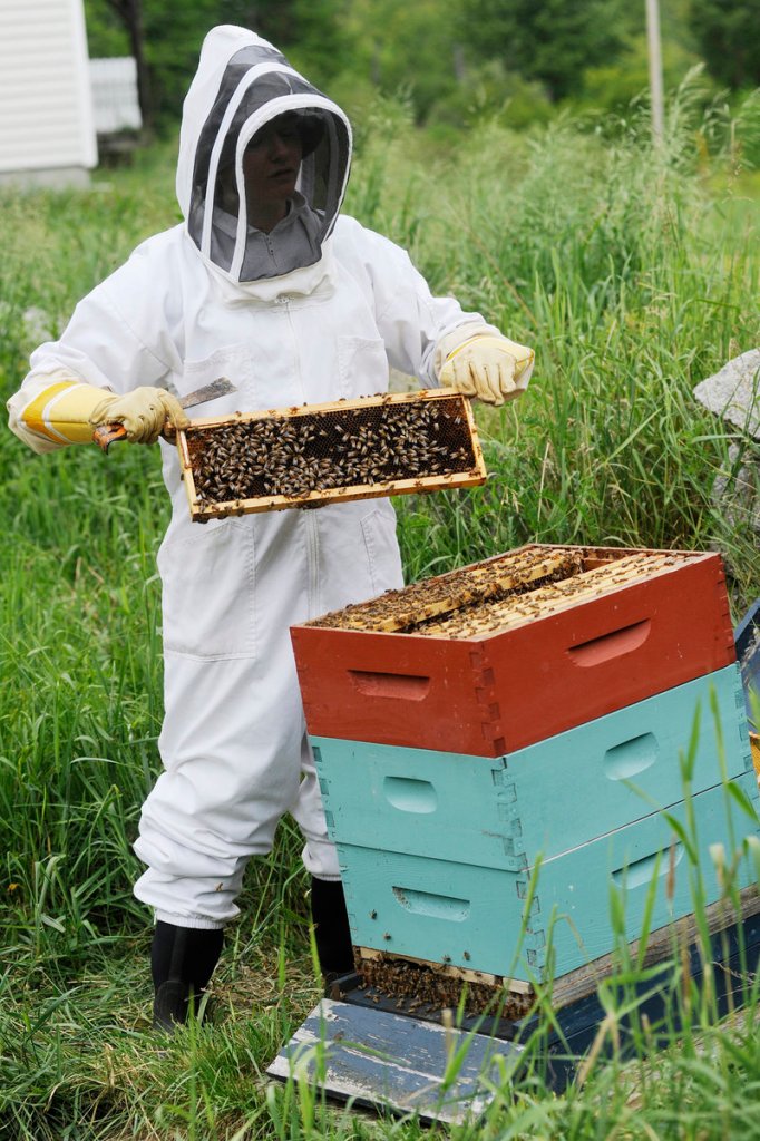 Kirstan Watson of Rusty Creek Farm in Arundel inspects a frame from a bee hive. Watson, who was drawn to beekeeping at age 5, needed six years before she and her husband began producing honey.