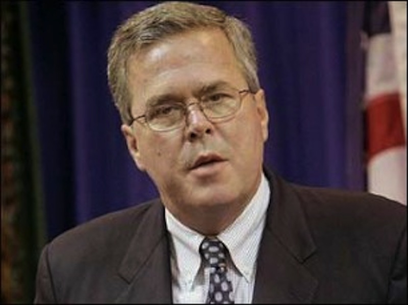 Jeb Bush