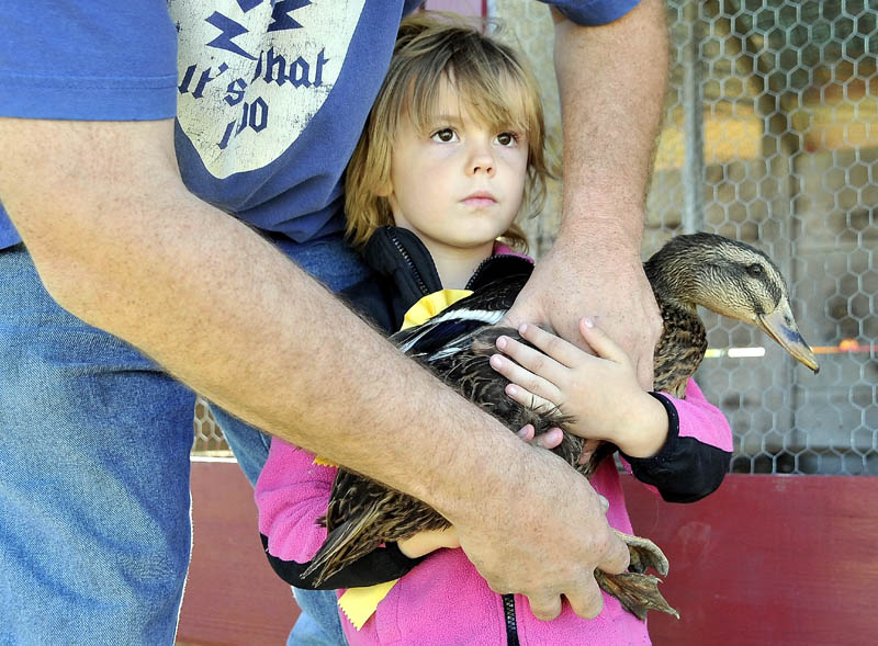 Staff photo by Michael G. Seamans Bobbie Libby, 6, gets a helping hand from her father Bobby with her show goose at the Youth Livestock Show at the Harmony Free Fair in Harmony recently. Libby won second place with her creative answers. When asked what does a duck do? Libby simply replied, "Run around and eat."