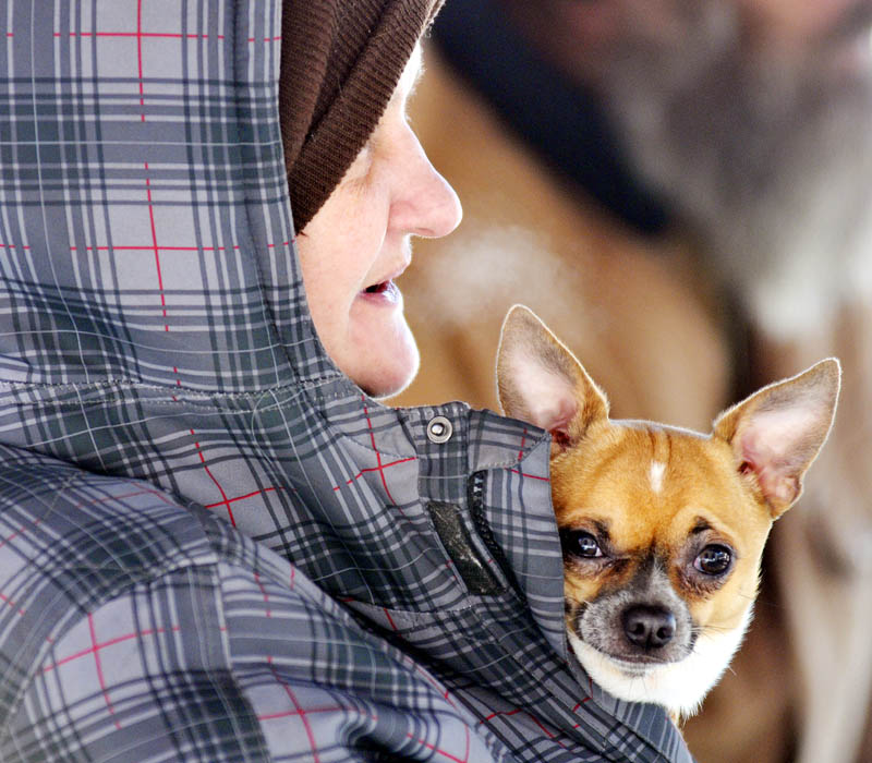 Amy Hopkins clutches her dog to her chest Monday at the Augusta Community Warming Center. Hopkins, her husband and son were evicted Monday from their room in Augusta, she said, following a dispute with another tenant at a boarding house. "We're homeless," she said. The Hopkinses took turns heating up between holding the dog, which she said isn't permitted in the center, as temperatures struggled to reach double digits. The cold is forecast to persist for the remainder of the week.