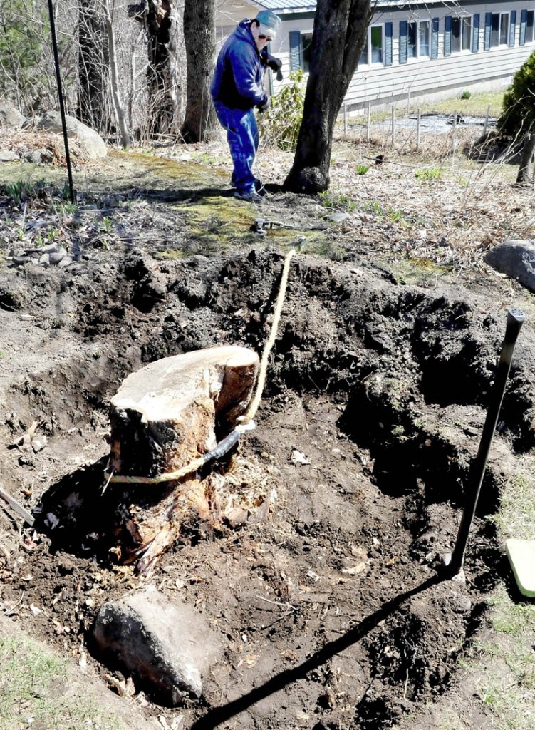 Rick Smith has been busy for the last two days after he first cut down a willow tree, dug out the stump area, used a hand saw to cut up stump, chopped pieces with a splitting maul and finally attached a tool to pull out the stubborn stump at his home in Oakland on Wednesday.