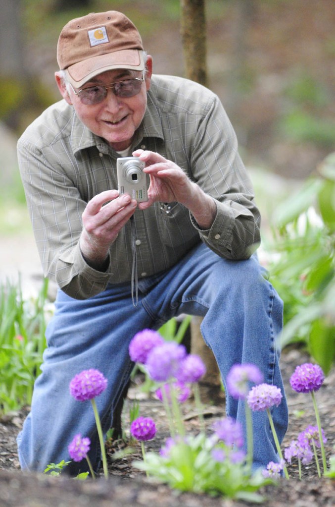 Fred Davis takes a photograph of the primrose blooming in front of Fred's Puzzles and Gifts on Thursday in Palermo. Davis said that he and his wife work in the gardens outside the business on Route 3 near the Palermo - China border.