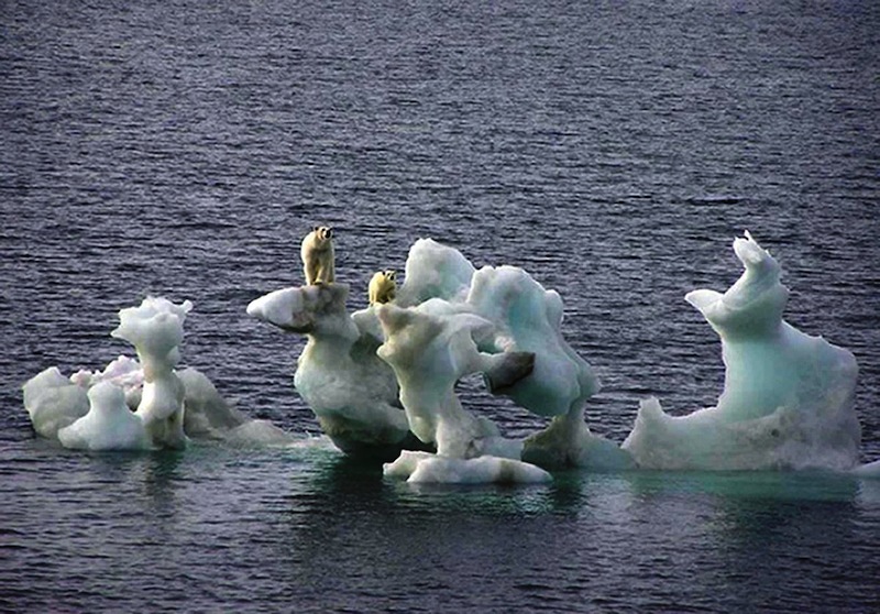 This photo released by the Canadian Ice Service on Friday Feb. 2, 2007 and taken by photographer Dan Crosbie in 2004 shows two polar bears on a chunk of ice in the arctic off Northern Alaska. A state legislative committee voted Thursday, May 9, 2013 to put Maine back on track to develop a finished plan for adapting to its changing climate. (AP Photo/Dan Crosbie/Canadian Ice Service via PA, HO)