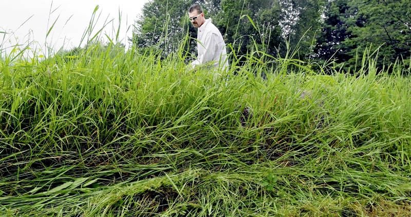 Bob Poulin had his work cut out for him as he tackles high grass around a rock wall with a weed wacker in Oakland on Sunday.