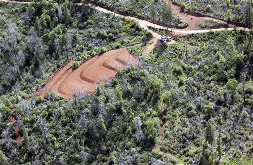 In this undated photo released by Butte County Department of Public Works, marijuana grading violations are seen on a hillside less than 1,000 feet from the west branch of the Feather River off of Jordan Hill Road in the Concow area in Butte County, Calif.