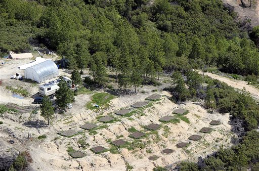 In this undated photo released by Butte County Department of Public Works, marijuana grading violations are seen off of Crystal Ranch Road in the Feather Falls area in Butte County, Calif.