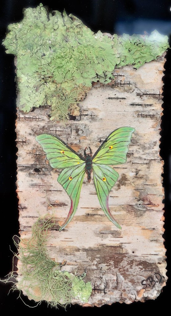 This is a detail shot of one of Sharon Boody-Dean's paintings on birch bark at the 26th annual Winthrop Sidewalk Art Show today in downtown Winthrop.