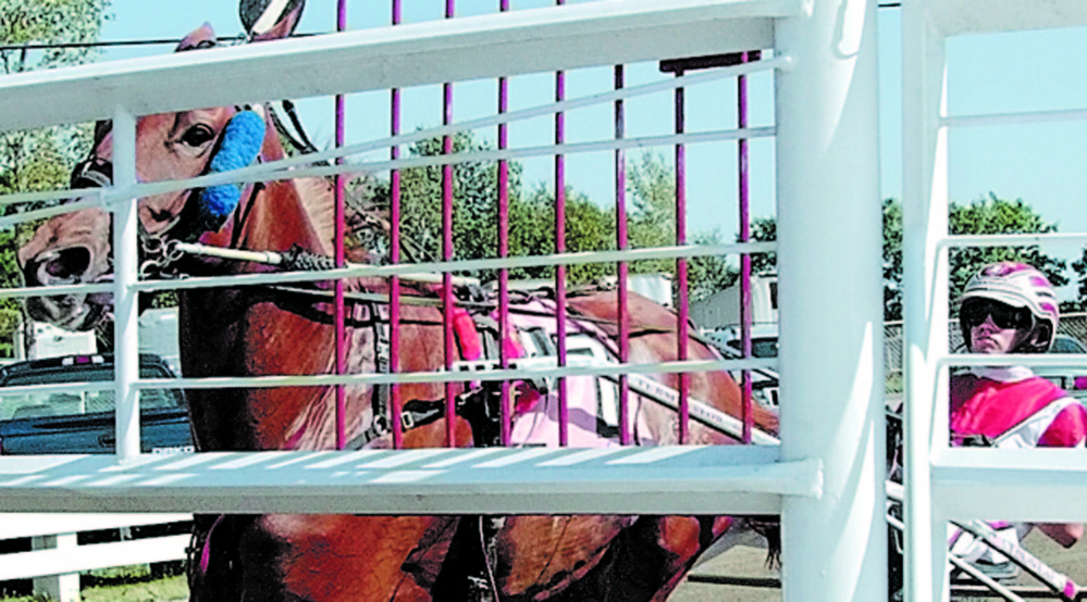 Original: Staff photo by Joe Phelan READY TO START: Jason Bartlett gets Township Brassy into position behind the starting gate before the first race on Friday afternoon at the Windsor Fair. Harness racing has a rolling start behind a gate vehicle. When they cross the starting line the gate opens and the car speeds ahead and out of the way of the race. Published: Staff photo by Joe Phelan READY TO START: Jason Bartlett got his start racing at the Windsor Fair and has moved on to become one of the top drivers in the country. He is well on his way to a third track title at Yonkers Raceway in Yonkers, N.Y.