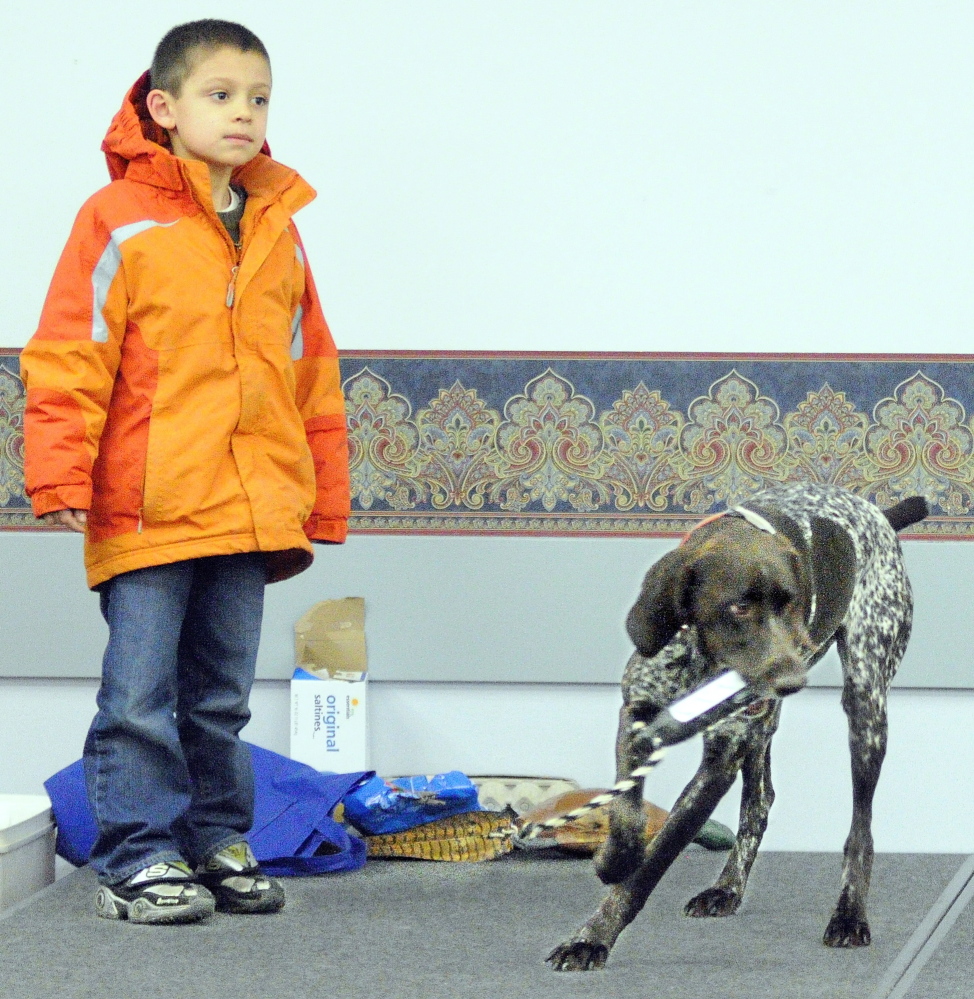 AUGUSTA, ME - MARCH 28: Daniel Tuminaro, 6 of China, watches as Autumn grabs the retriever training toy that he through during the North American Versatile Hunting Dog Association demonstration Friday at the Maine Sportsman’s Show at the Augusta Civic Center. (Photo by Joe Phelan/Staff Photographer)