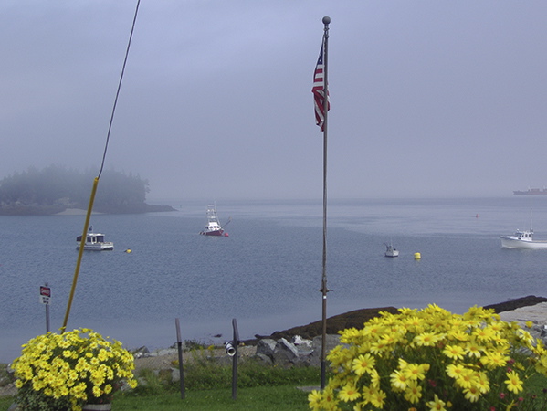 Harbor view in Lubec