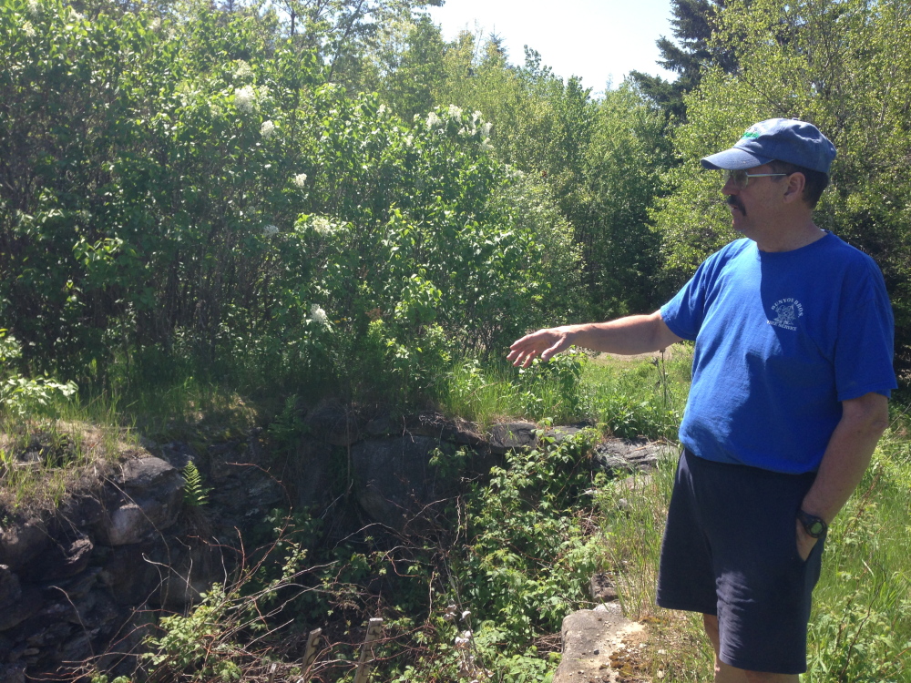 Staff photo by Jesse Scardina WHAT'S OLD IS NEW: Bill Skeeins, a member of the Thurston Park Committee, gestures Thursday to foundations of houses that once stood on the land the park was developed on.