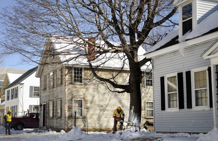 Grondin Construction employee Skip Jordan notches a maple tree Wednesday in the yard of a house on Perham Street in Augusta. The company is removing several trees on the street before razing four houses to make way for the new Capital Judicial Center parking area. The contractors hope to have the buildings entirely removed in a month and plan to begin demolition this week.