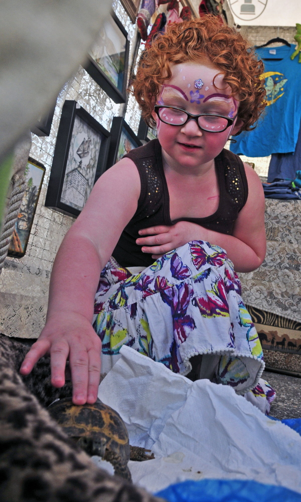 Ella Curtis pets Pippin the tortoise on Saturday in artist Robin Gardella’s booth during the Winthrop Summer Festival in downtown Winthrop.