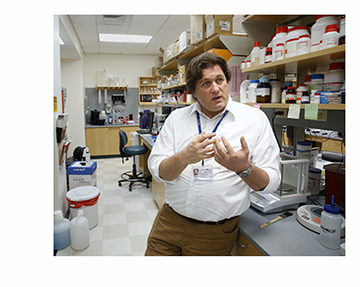 Almost $7 million of the money in the new federal budget for the National Institutes of Health will go to Dr. Leif Oxburgh and his colleagues at the Maine Medical Center Research Institute lab where they are growing kidney tissue. (Press Herald photo)