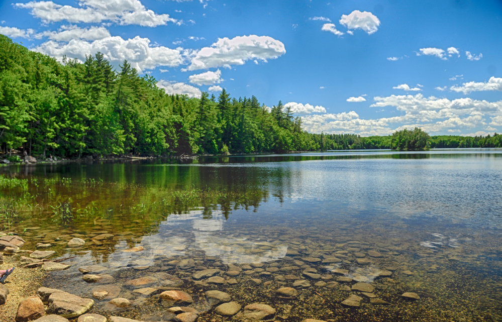 State wildlife officials say they need to harvest trees from the Jamies Pond Wildlife Management Area in Hallowell, shown in this Friday photo, to maintain the habitat for deer and other wildlife.