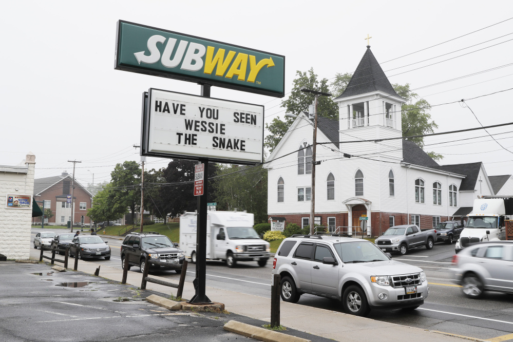 A sign at a sandwich shop in Westbrook asks the question of the day: "Have you seen Wessie the snake?" Among locals, opinions about the slithery visitor range from fascination to disgust.