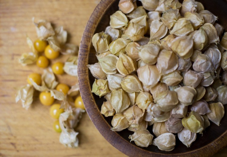 A detail of husk cherries. Derek Davis/Staff Photographer