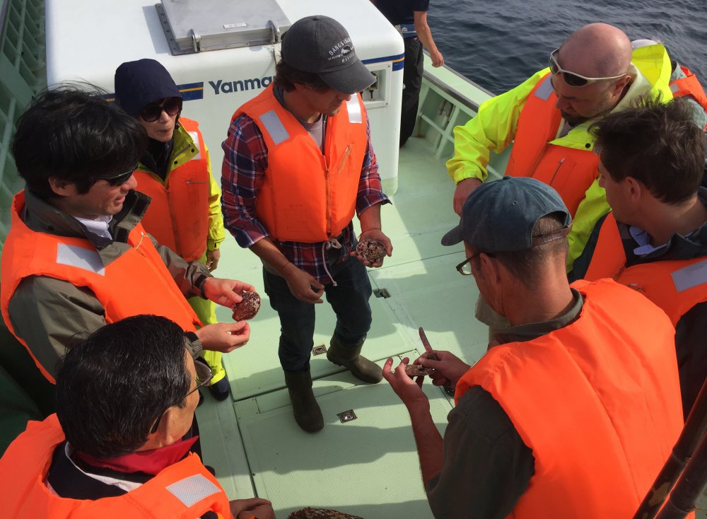 Local fishermen, left, from Japan's Aomori prefecture show members of the Maine delegation the best shucking techniques to avoid damaging farm-raised scallops. The Mainers believe scallop farmers at home can learn ways to expand Maine's struggling industry, which was worth $5.7 million in 2015, down from $7.6 million in 2014.