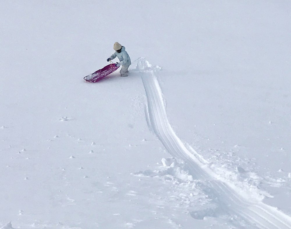 Paisley Damon, 8, cuts a fresh trail on a hillside in Fort Williams Park in Cape Elizabeth on Monday afternoon.