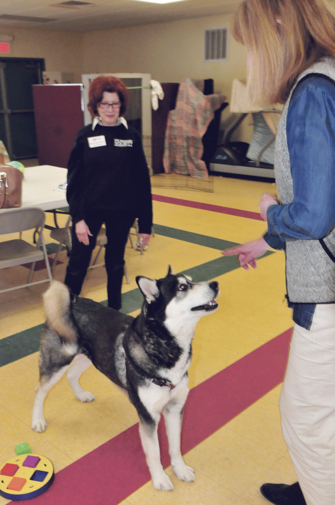 Dakota is the center of attention Thursday between Humane Society Waterville Area board member Joann Brizendine, left, and Director Lisa Smith at the Waterville animal shelter.