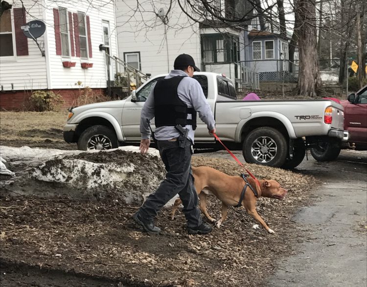 A police officer removes a dog from a residence on Front Street in Waterville on Friday after the dog reportedly attacked its owner, who was sent to the hospital.