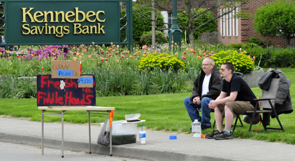 Dan Hamilton, left, and Shaun Caron sell fiddleheads along Main Street in Waterville on Thursday. Caron said he is part of a fourth generation of fiddlehead pickers in his family.