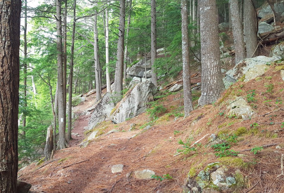 Thorne Head Narrows trail in Bath offers impressive views of the Kennebec River. It's part of the 96-acre signature property of the Kennebec Estuary Land Trust.