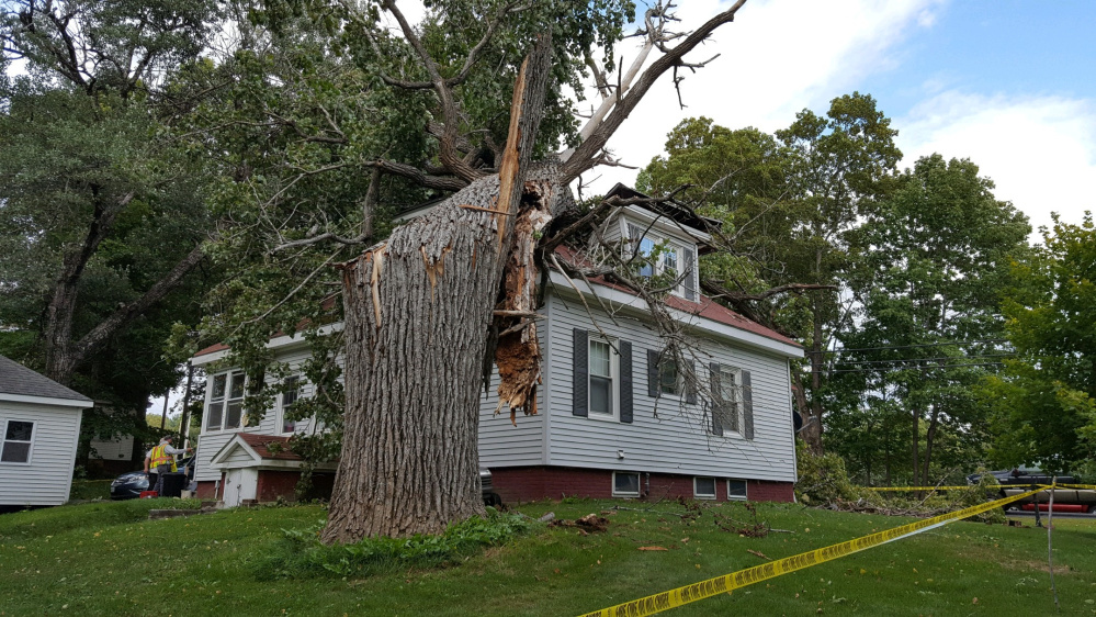 This tree crashed into a Vassalboro home Friday afternoon, injuring one and leaving the home uninhabitable.