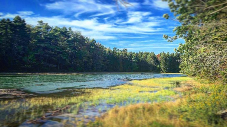 Strawberry Creek during a recent afternoon on Cliff Trail in Harpswell.