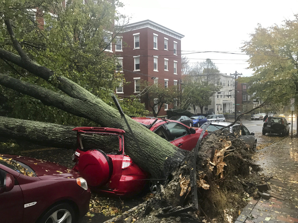 Climate change increases the likelihood of severe weather, like the recent storm that toppled this and thousands of other trees, but Gov. LePage, who once said, "I do not believe in the Al Gore science," has consistently refused to admit that global warming is a threat to Maine.