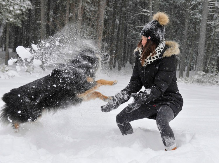 Hannah Clarke, home for Christmas from Cambridge, Massachusetts, plays in the fresh snow with her dog, Riggins, at her parents' home in Falmouth. 