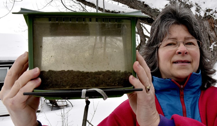 Cathy McFarland has plenty of bird seed but no birds at her home in Skowhegan. "I'm really sad there are no birds this winter," McFarland said Thursday. "They make me so happy."