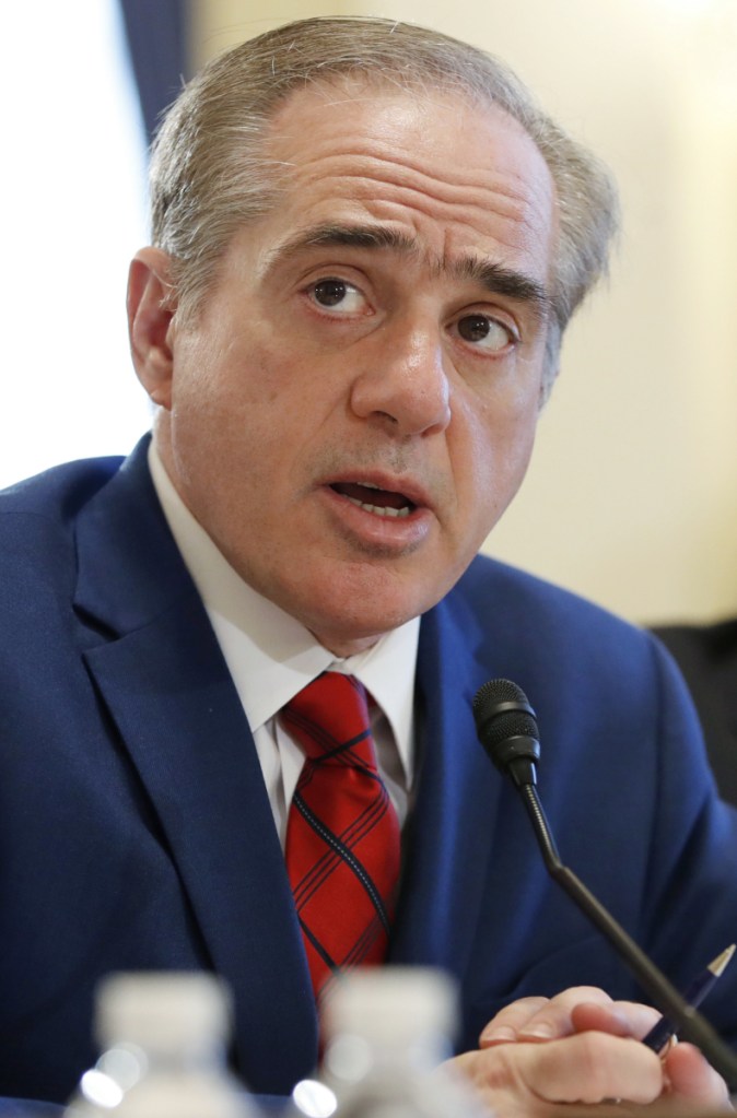 DAVID SHULKIN