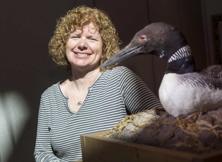 "I love my loon counters," Susan Gallo says of the volunteers who help with the annual tally.