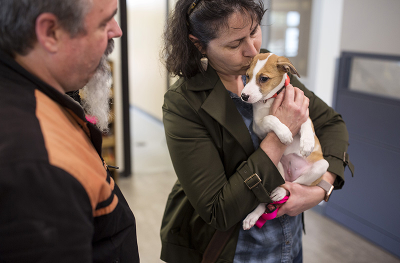 Kennebunk: Donna and Mark Metayer with their new puppy that they adopted from the Animal Welfare Society. Glenna was one of the dogs who came to the AWS after being rescued from Puerto Rico. 