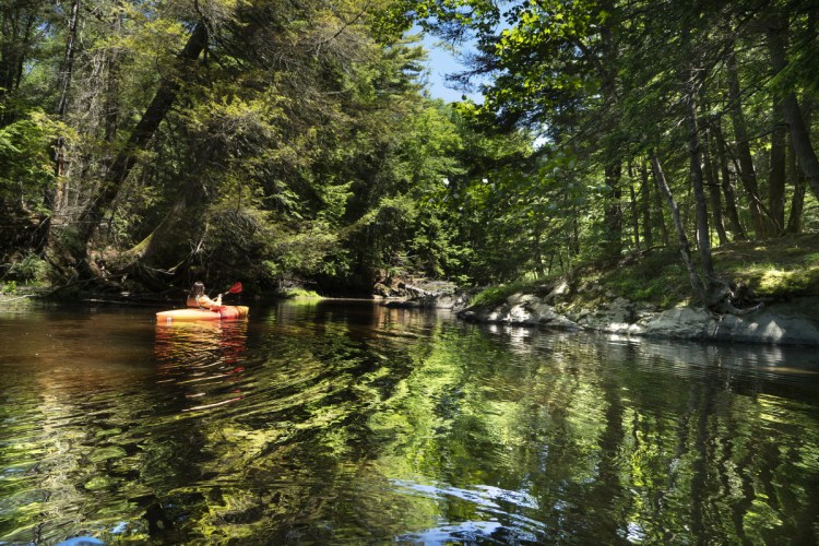 Angela Twitchell, executive director of the Brunswick-Topsham Land Trust, paddles along the Cathance River. Where once mildewed buildings threatened to topple into the river, Topsham's first waterfront park, the 12-acre Head of Tide, now offers wilderness, picnic sites, and places for launching watercraft.