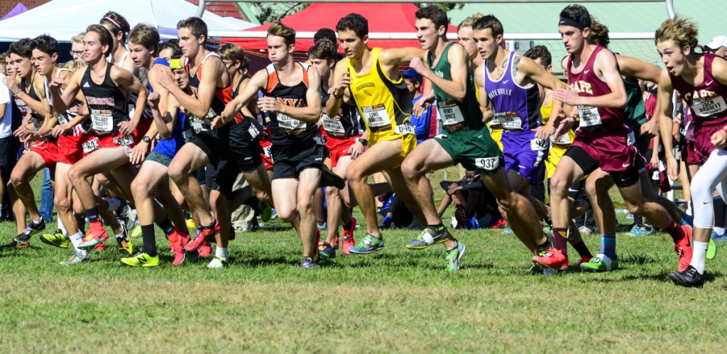 Staff photo by Joe Phelan 
 Boys in the seeded race take off from the starting line in the  Festival of Champions on Saturday in Belfast.