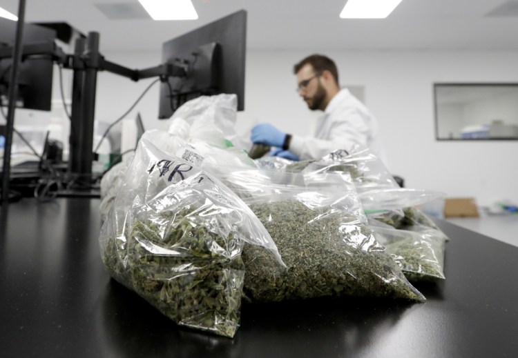 Marijuana samples await testing at Cannalysis, a testing laboratory in Santa Ana, Calif. Cannalysis has found mold on some cannabis products but the sample still passed current state tests, leading the company to urge regulators at a state hearing last month to add a new test that company officials say can detect a large number of potentially harmful species of mold and yeast not currently covered in state guidelines.