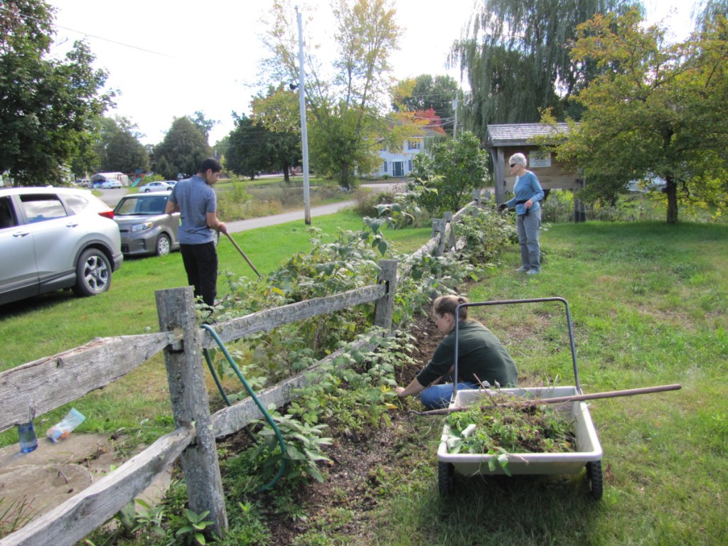 Christie Saunders, far right, UBR board member with Unity College students cleaning up the raspberry patch in Triplet Park.