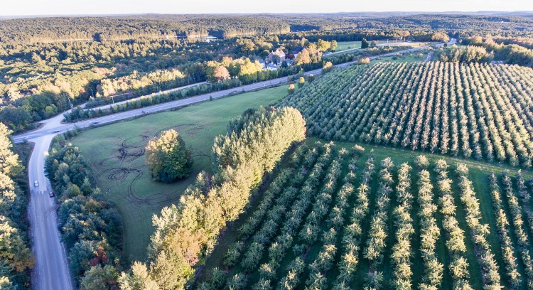 A hayfield across from Shaker Village in New Gloucester, background, has been torn up by vandals recently as seen in this aerial photo taken Friday.