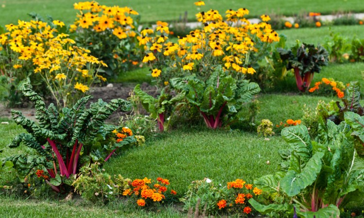 Intermingled vegetables and flowers offer beauty and utility. 