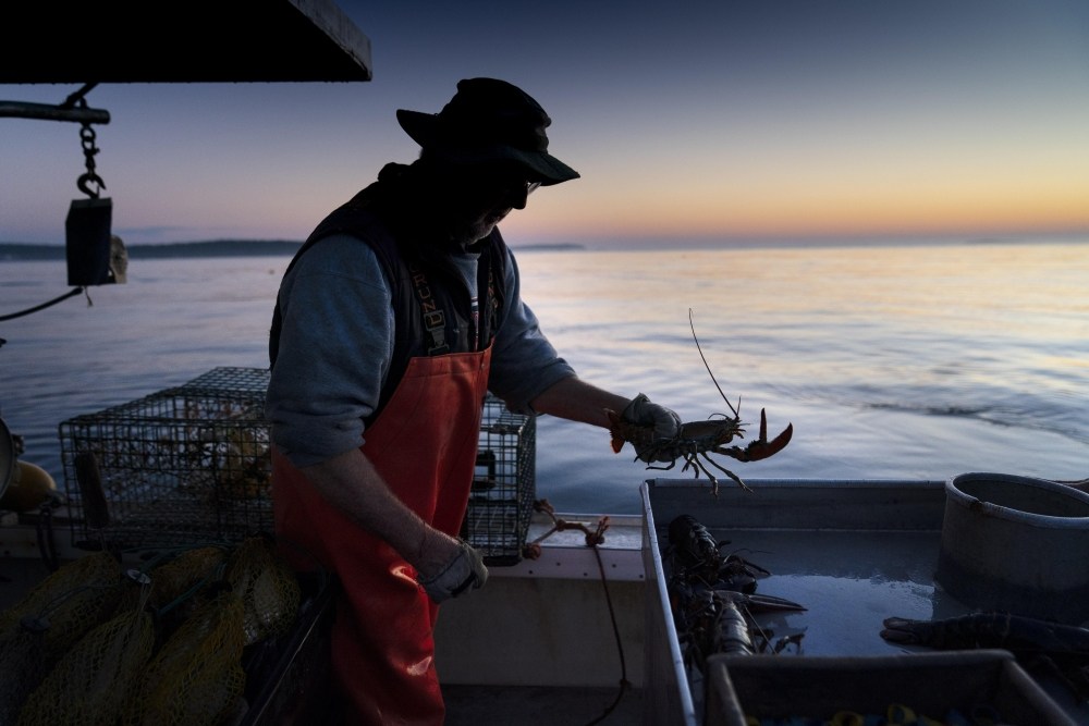 Lobster Fishing Rules