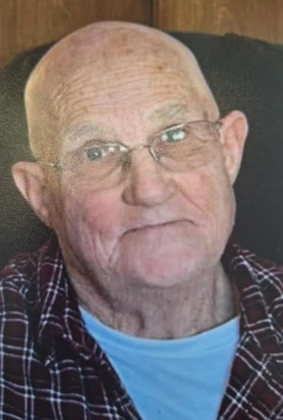 Earl David Viles