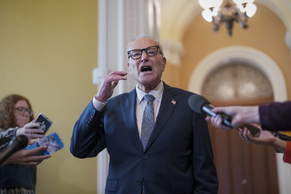 Congress Schumer