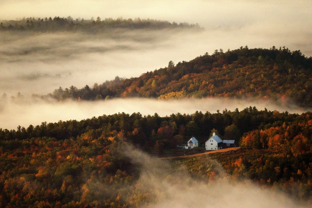 Fall Foliage Preview